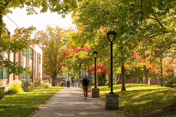 View of campus walkway in the fall.